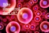 Cell: How and by whom was the cell discovered?