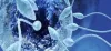 Vitrification Technology for Infertility Treatment | Nova IVF