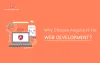 AngularJS Development - Why Choose AngularJS For Web Development?