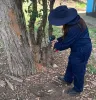 Termite Control Rouse Hill - Strata Maintenance | QuePest Control