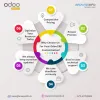 Odoo Apps Customization Service | Browseinfo Odoo Gold Partner