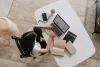 Why Do Businesses Outsource Processes?