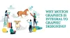 Motion Graphics Design