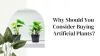 Why Should You Consider Buying Artificial Plants?
