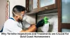 Why Termite Inspections And Treatments Are Crucial For Gold Coast Homeowners | FREEYORK