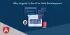 Why Angular is Best For Web Development?