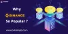 Why Binance So Popular? | Binance Clone Script | Pulsehyip