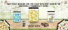 why_poly_mailers_are_the_cost-efficient_choice_for_growing_e-commerce_stores_1.png