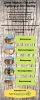 Wie man einfach und schnell ein Garten holzhaus baut