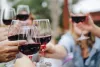 5 Amazing Things You Can Learn On a Wine Tour