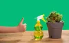 Trends and Future of Agricultural Disinfectants Type Market and the Role of Supply Chain