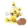 witch hazel shrub, witch hazel ingredients, witch hazel plant for sale, witch hazel extract powder