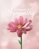 Free Sympathy Ecards | Virtual Condolences Card