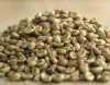 East To Middle East FZE : Ethiopian Coffee Traders/ Exportes in Dubai, UAE