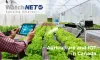Smart Farming IoT Solutions