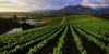 Planning a Trip to South Africa? Don’t Miss Out These Stunning Places!