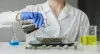 Cosmetic Manufacturing Companies in Dubai Unveiling the Beauty