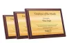 Buy Wooden Plaque - PL002 Online for Best Price