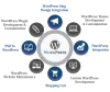 Custom Wordpress Website Development Company in India