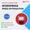 wordpress-speed-optimization-services.png