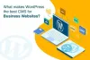 WordPress development Company