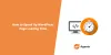 How to Speed Up WordPress Website Page Loading Time