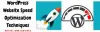 Best WordPress Website Speed Optimization Techniques in 2021- DWS