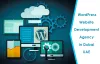Elegant And Flexible Wordpress Website Design Abu Dhabi