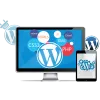 Get the Quality WordPress Development Services in India