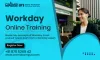 What Are The Modules In The Workday?
