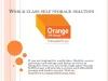 Self Storage Solutions