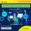 WordPress Theme Development Services