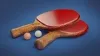 How to Select the Perfect Ping Pong Paddle