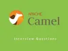 Apache Camel Interview Questions [Updated] in 2020 -...