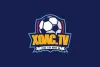 Xoactv - Xem Trực Tiếp Bóng Đá Hôm Nay - News