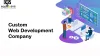 Best Custom Web Application Development Company In USA - Dev Technosys 