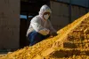 Yellow Phosphorus Prices