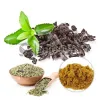 yerba mate extract, yerba mate powder, buy yerba mate in bulk, yerba mate suppliers, herbal wholesale, wholesale organic herbs, herbal powders wholesaleorganic foods, dietary ingredients