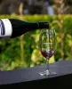 Wine Tour
