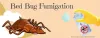 Bed Bug Fumigation