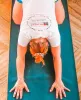 Best Yoga Teacher Training in Rishikesh, India
