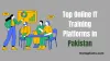 Top Online IT Training Institute in Pakistan 2024 - The Top Facts