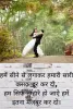Get the Latest Collection of whatsapp status 2020 at shivstatushindi.com