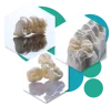 Zir-Icon; advance dental export 