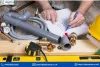 plumbing_studies_diploma_level_2_7.jpg