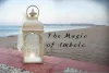 the-magic-of-imbolc_1.png