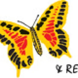 user-avatar