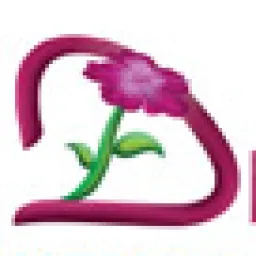 content-author-204381