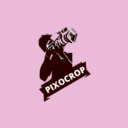 content-author-273689