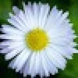 content-author-610621